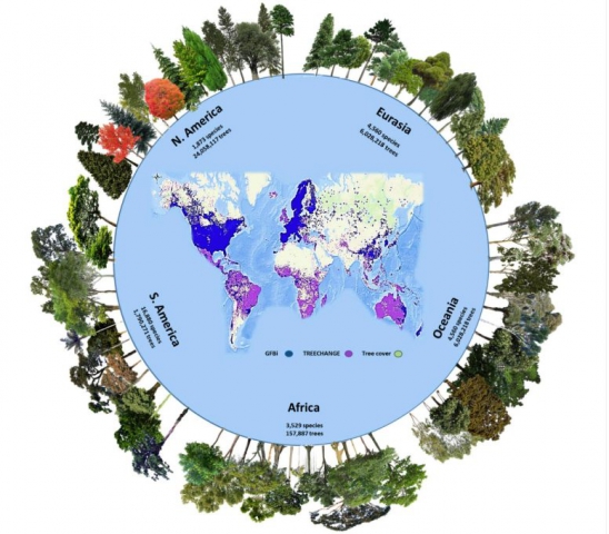 Global Forest Biodiversity Initiative Database 777x680