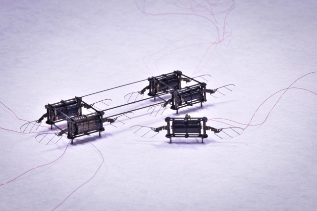 Aerial Microrobot Artificial Muscles scaled
