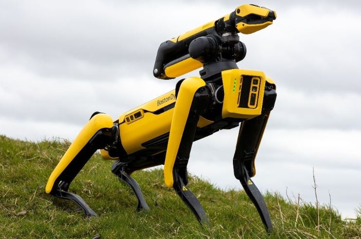 سگ رباتیک