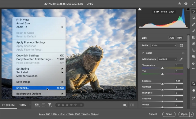 adobe super resolution feature screenshot iguana