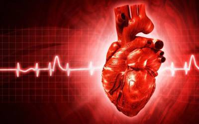 یافت نوعی سلول در قلب مرتبط با تنظیم ضربان قلب