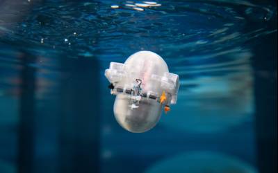 ربات کوچک با هوش مصنوعی در حال یادگیری کشف اقیانوس 