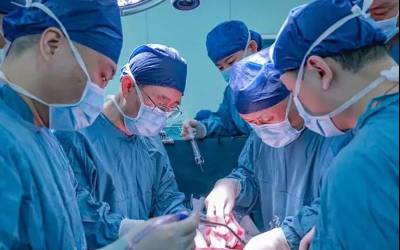 اولین پیوند کبد خوک اصلاح ژنتیکی شده به انسان در چین! 