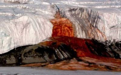علت جاری شدن خون در قطب جنوب کشف شد!