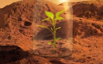 پرورش گیاه در مریخ تا چه حد عملی است؟