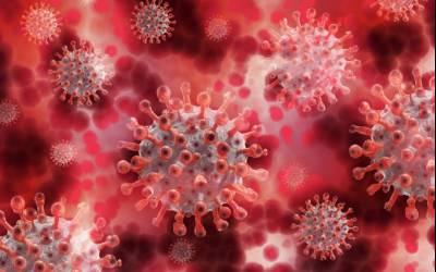 ظهور سریع انواع جدید کووید به دلیل ظرفیت ویروس 