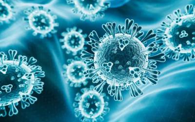 ویروس خاستا-2 خطرناک تر از ویروس کووید-19