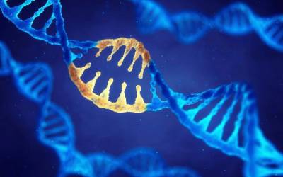 ویرایش اولیه کل ژن ها در سلول های انسانی 