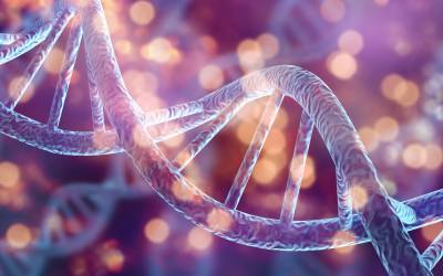 رشته DNA امکان ذخیره‌سازی اطلاعات