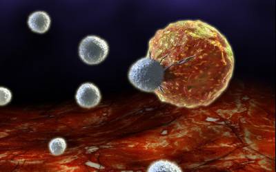 سلولها میتوانند مرگ خود را به تعویق بیاندازند